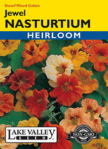 NASTURTIUM JEWEL DWARF MIXED COLORS HEIRLOOM