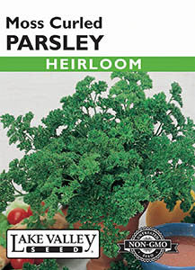 PARSLEY MOSS CURLED   HEIRLOOM