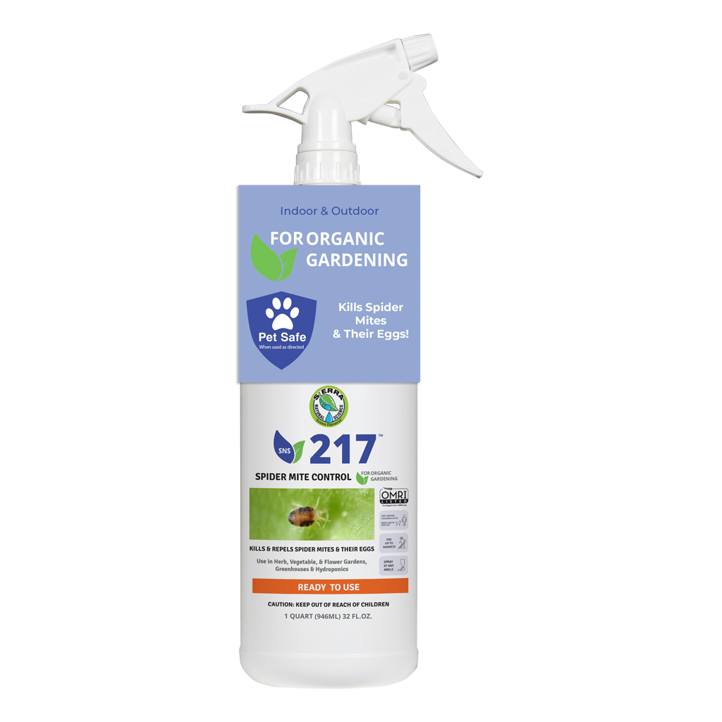 217 Spider Mite Control