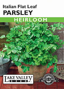 PARSLEY ITALIAN FLAT LEAF  HEIRLOOM