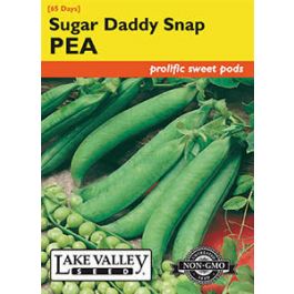 PEA SUGAR DADDY SNAP