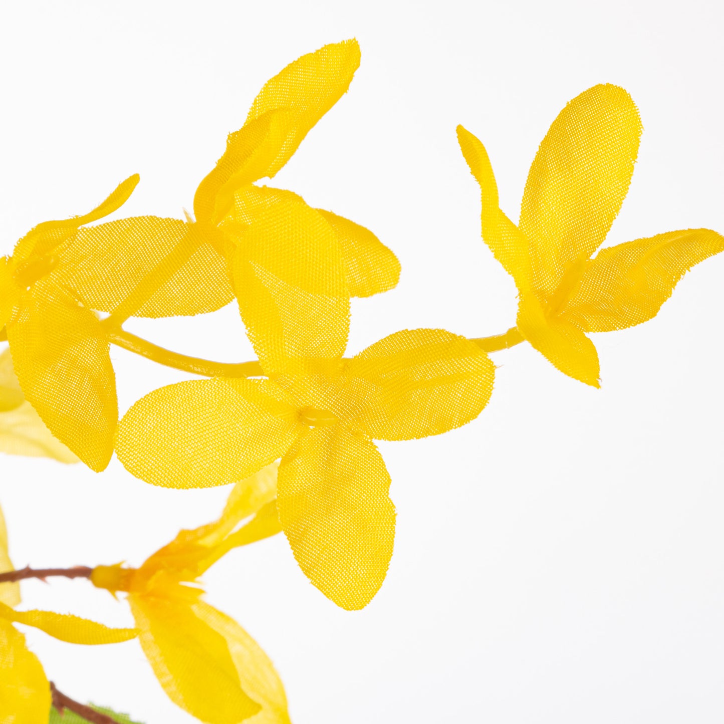 Natural Twig Forsythia Wreath