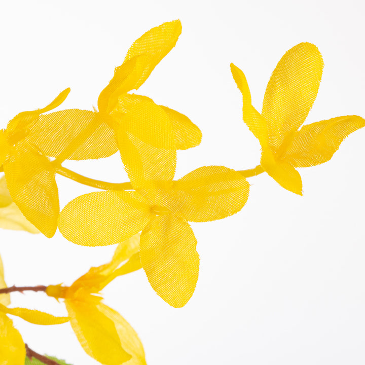 Natural Twig Forsythia Wreath