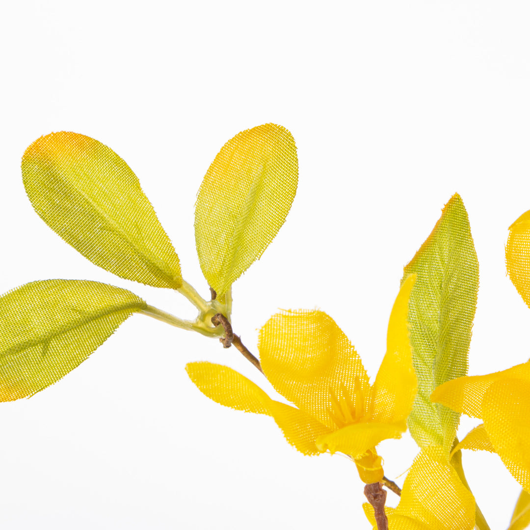Natural Twig Forsythia Wreath