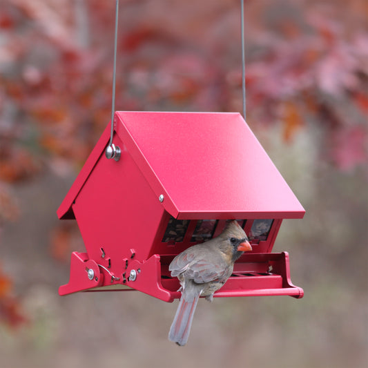 Mini Absolute II Bird Feeder