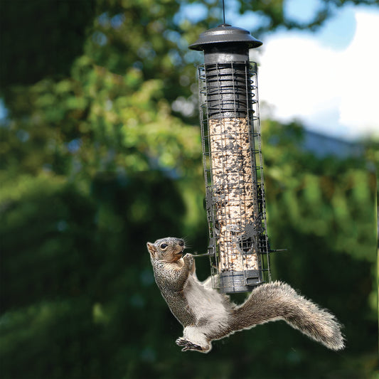 Dragonfly Sq. Resistant Tube Feeder