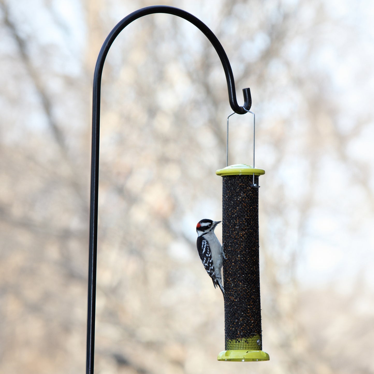 Finch Screen Tube Feeder