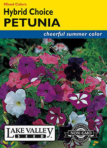 PETUNIA HYBRID CHOICE MIX