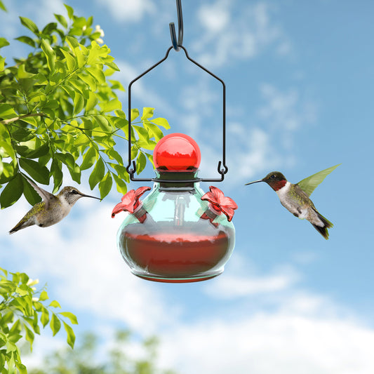 Aqua Glass Hummingbird Feeder