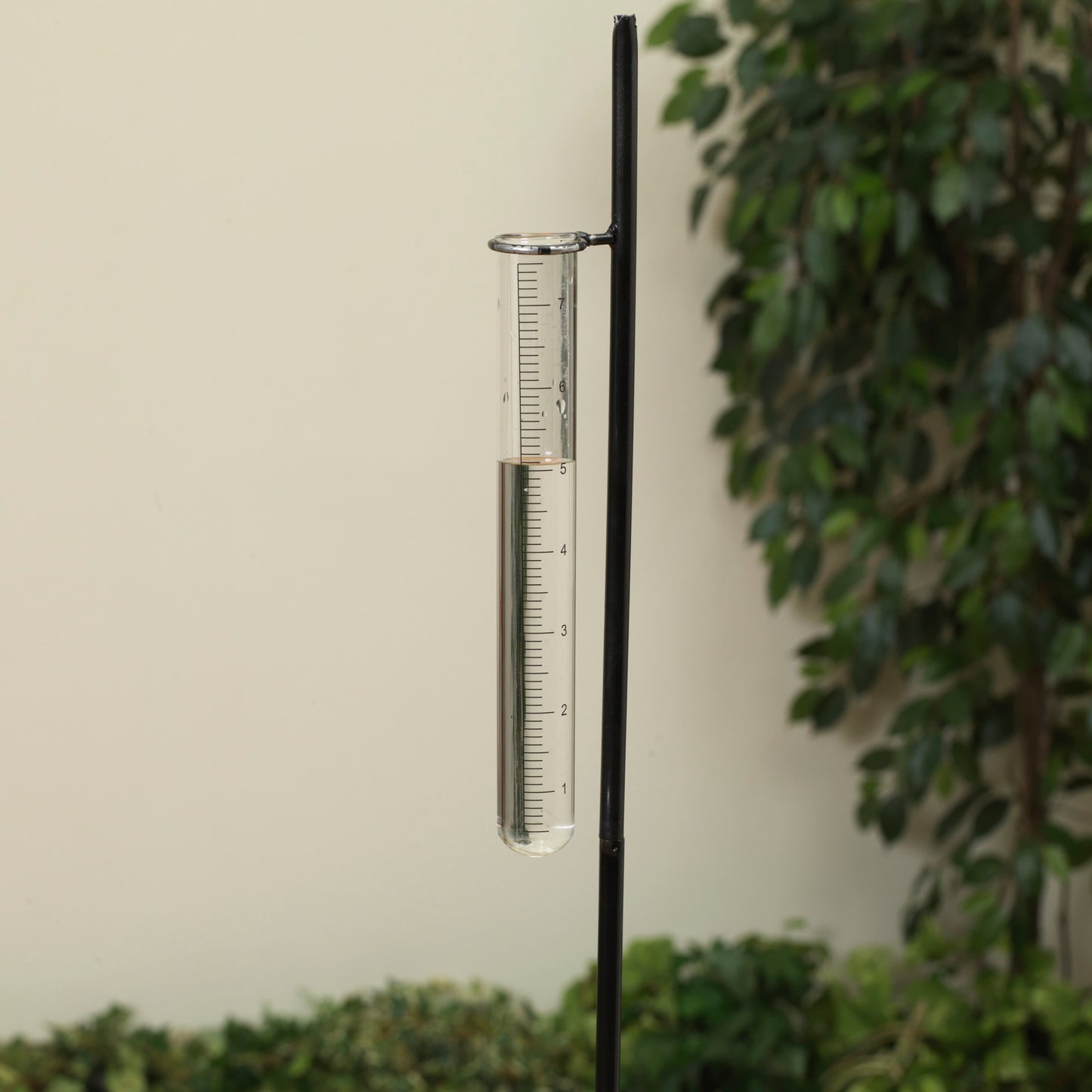 9"H Glass Rain Gauge
