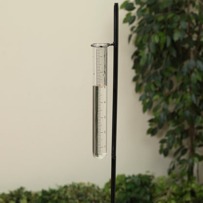 9"H Glass Rain Gauge