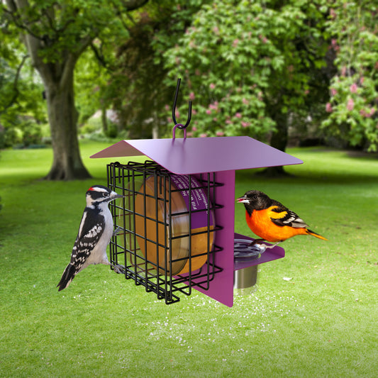 Peanut Butter & Jelly Feeder