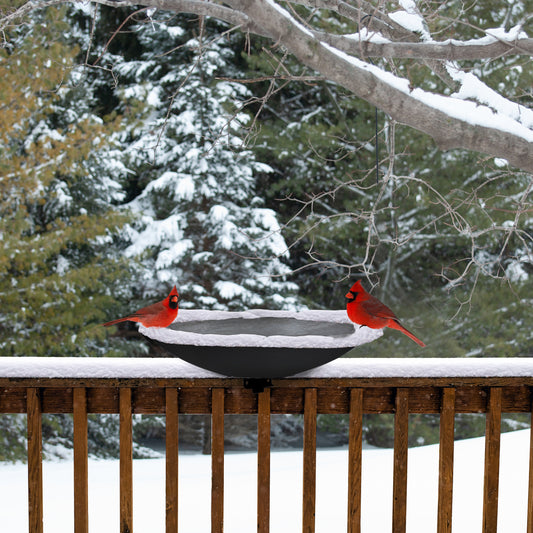 20" Heated Birdbath w/Deck Rail Brackets