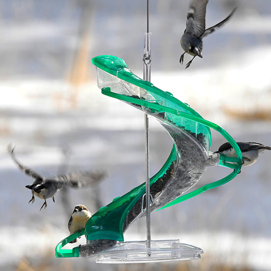Cascade Helix 4-port Songbird Seed Feeder