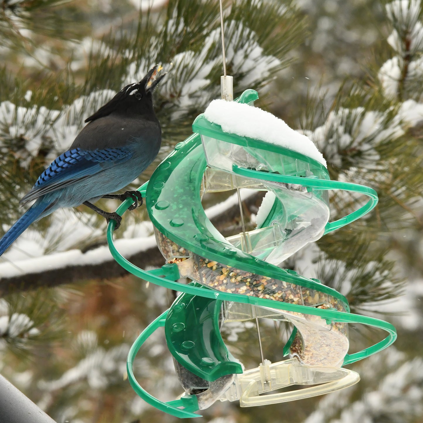 Cascade DNA 8-port Songbird Seed Feeder