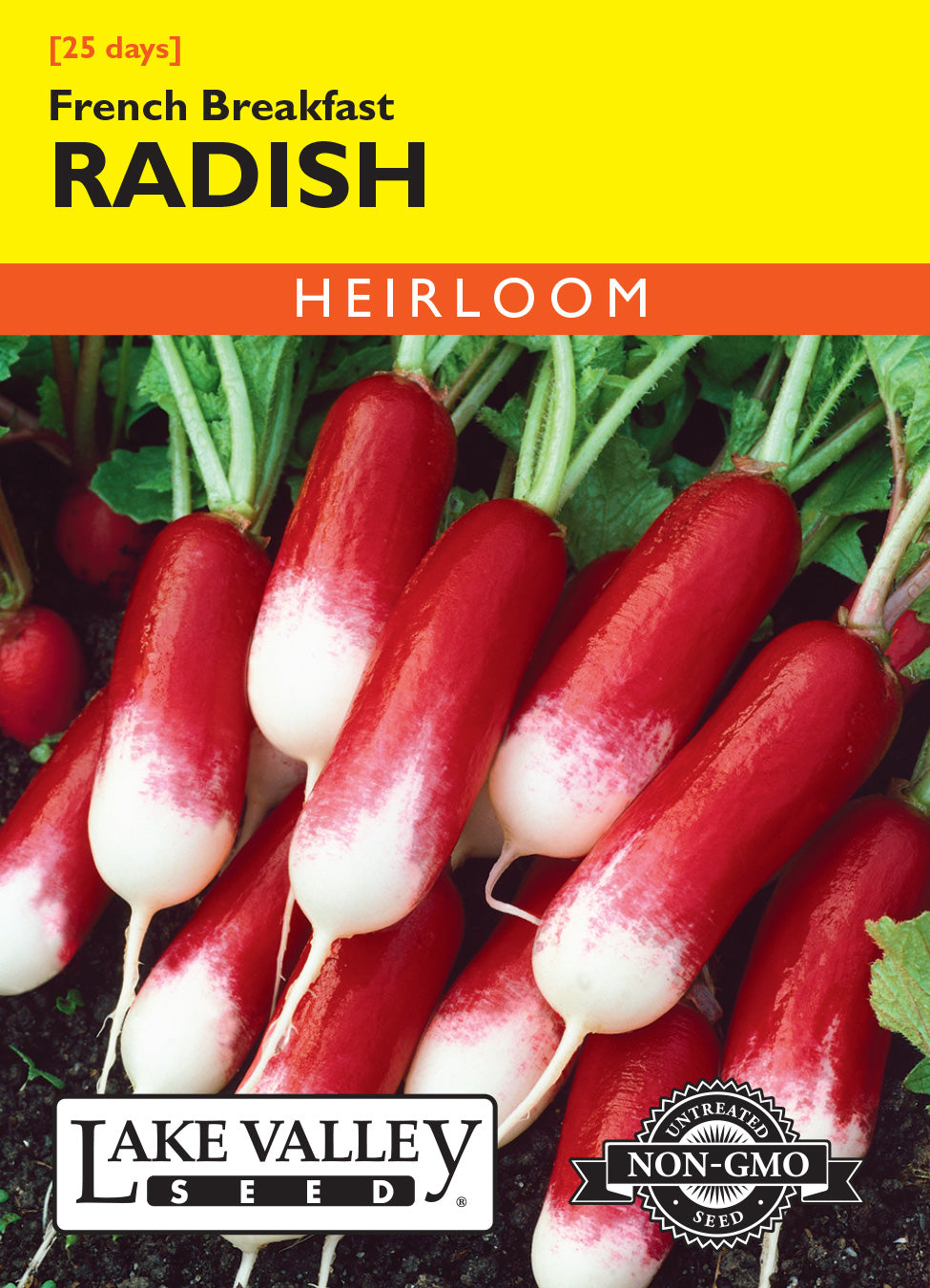 Radish French Breakfast Heirloom