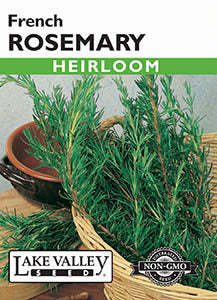 ROSEMARY FRENCH HEIRLOOM