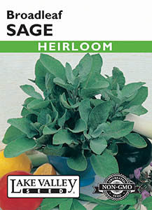 SAGE BROADLEAF HEIRLOOM