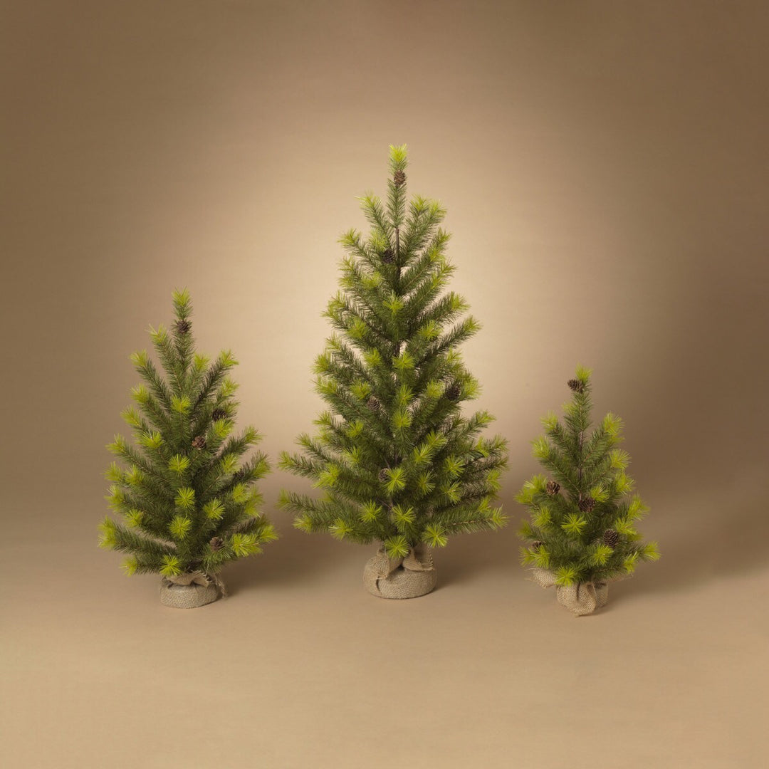 Holiday Pine Trees