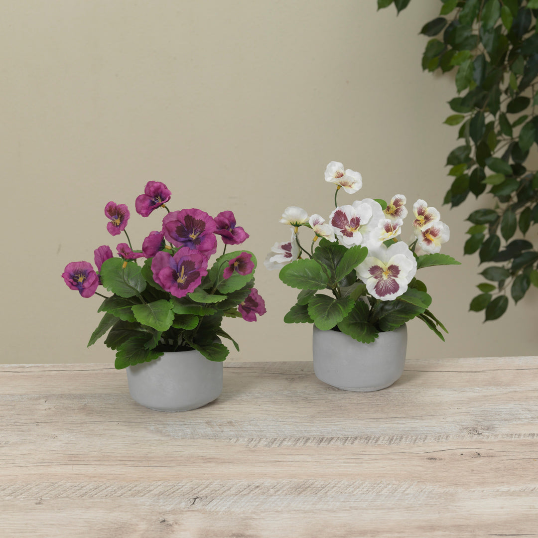 8.6"H Cement Potted Flower