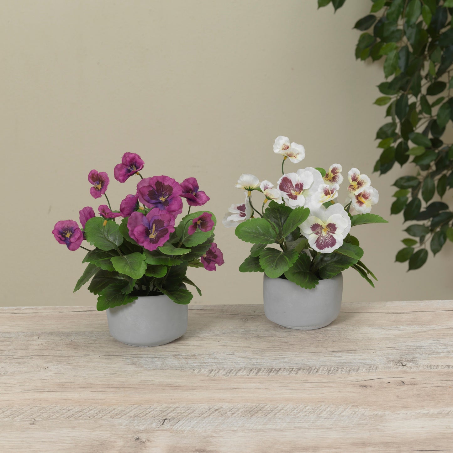 8.6"H Cement Potted Flower