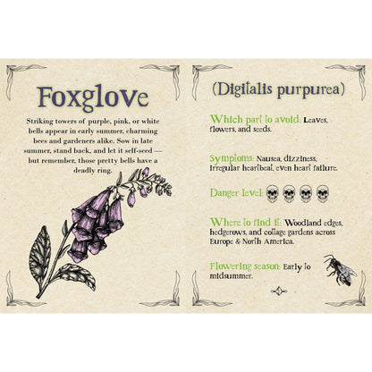 Deadly Blooms – A Botanical Guide to the Deadliest Plants