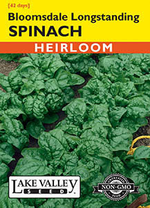 SPINACH BLOOMSDALE LONGSTANDING  HEIRLOOM