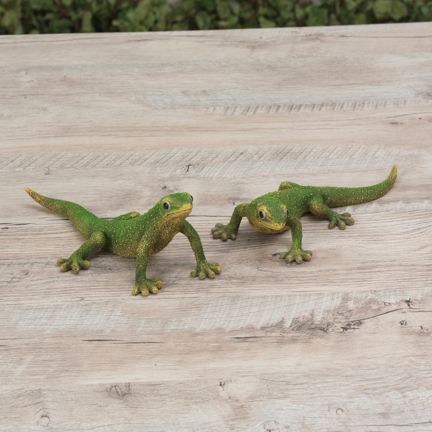 8.86"L Resin Lizard