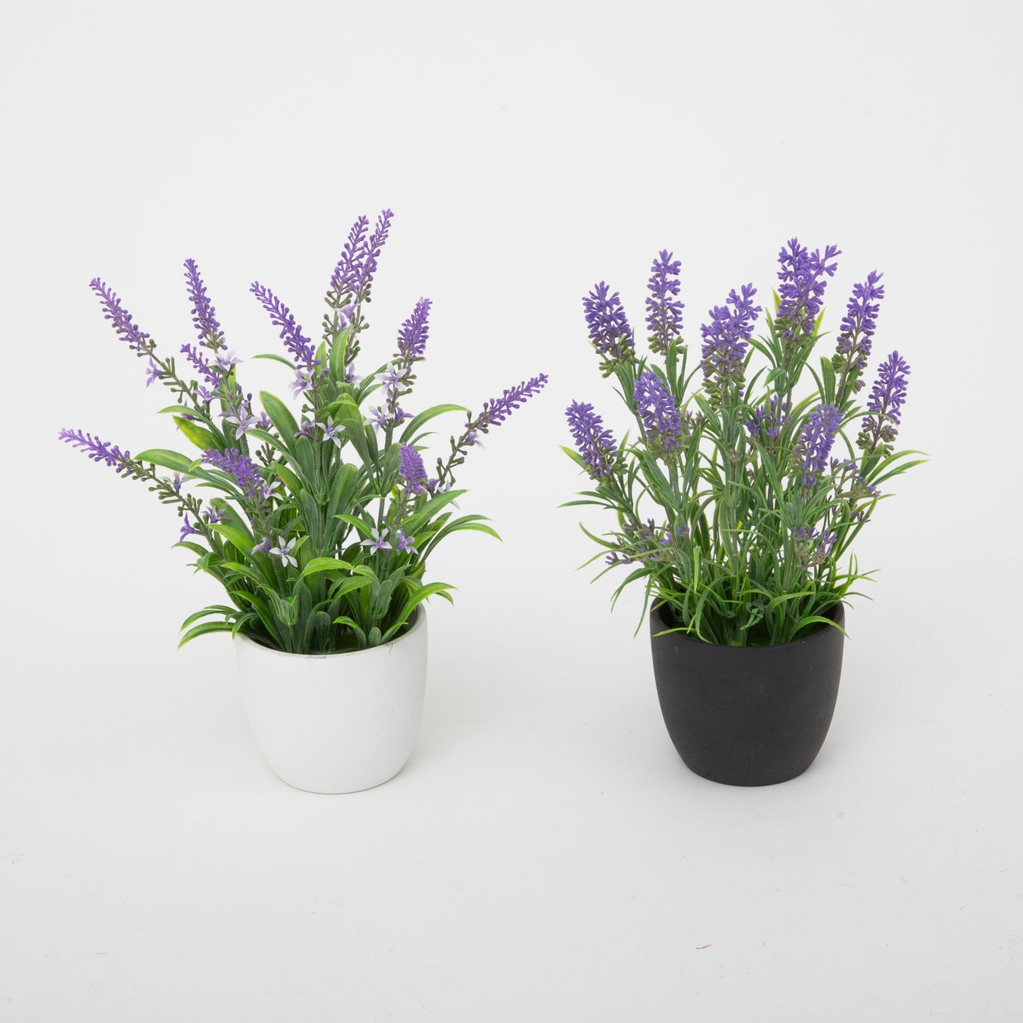 11.81"H Potted Lavender