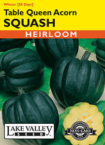 SQUASH WINTER TABLE QUEEN ACORN   HEIRLOOM