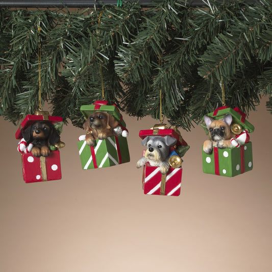 3"H Resin Holiday Dog in Gift Box Ornament
