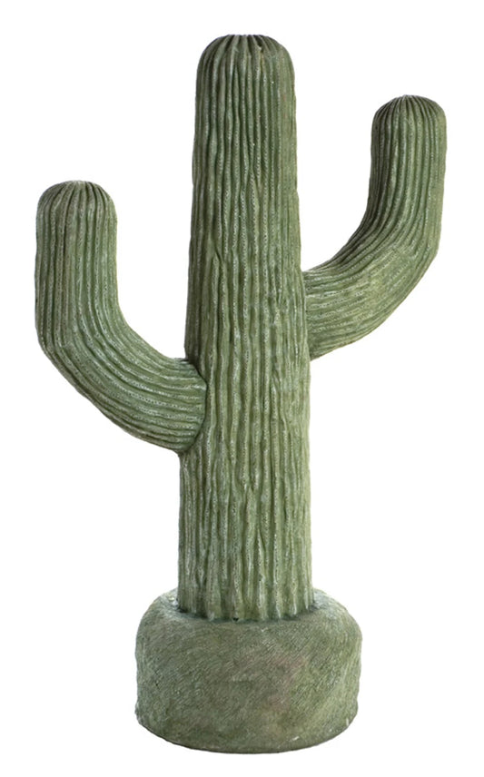 Large Cactus