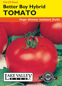 TOMATO POLE BETTER BOY HYBRID