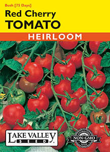 TOMATO POLE RED CHERRY  HEIRLOOM