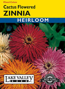 ZINNIA CACTUS FLOWERED MIXED COLORS HEIRLOOM