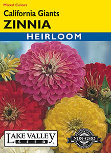 ZINNIA CALIFORNIA GIANTS MIXED COLORS  HEIRLOOM