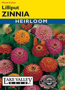 ZINNIA LILLIPUT MIXED COLORS  HEIRLOOM