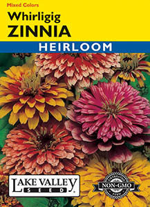 ZINNIA WHIRLIGIG MIXED COLORS HEIRLOOM