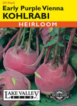 KOHLRABI EARLY PURPLE VIENNA   HEIRLOOM