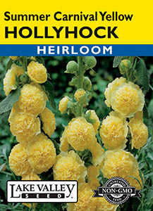 HOLLYHOCK SUMMER CARNIVAL YELLOW  HEIRLOOM