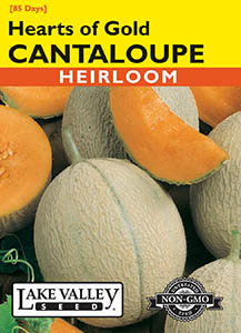 CANTALOUPE HEARTS OF GOLD  HEIRLOOM