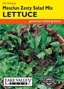 LETTUCE MESCLUN ZESTY SALAD MIXTURE