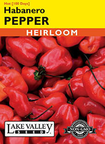 PEPPER HOT HABANERO RED (EXTRA HOT)  HEIRLOOM