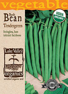 ORGANIC BEAN BUSH TENDERGREEN  HEIRLOOM