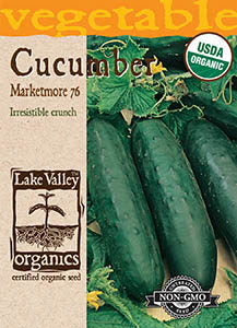 ORGANIC CUCUMBER MARKETMORE 76  HEIRLOOM