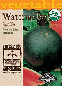 ORGANIC WATERMELON SUGAR BABY   HEIRLOOM