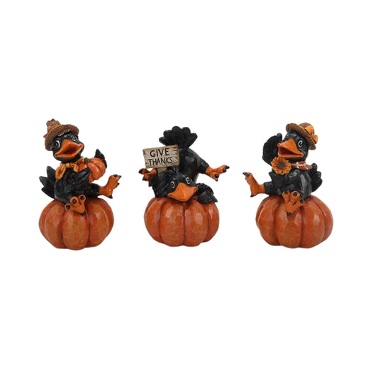 Crow on Pumpkin