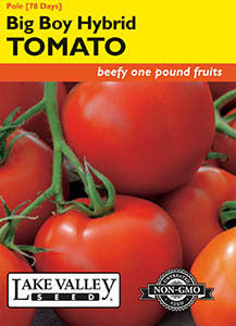 TOMATO POLE BIG BOY HYBRID