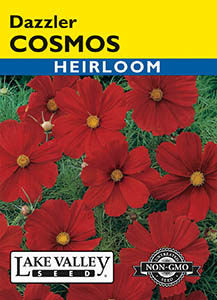 COSMOS DAZZLER  HEIRLOOM