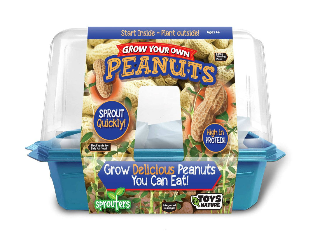 Grow Your Own Peanuts Sprouter Terrarium